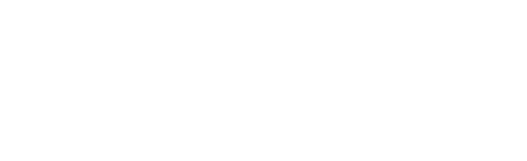 Dezvoltat de VelorLink Romania